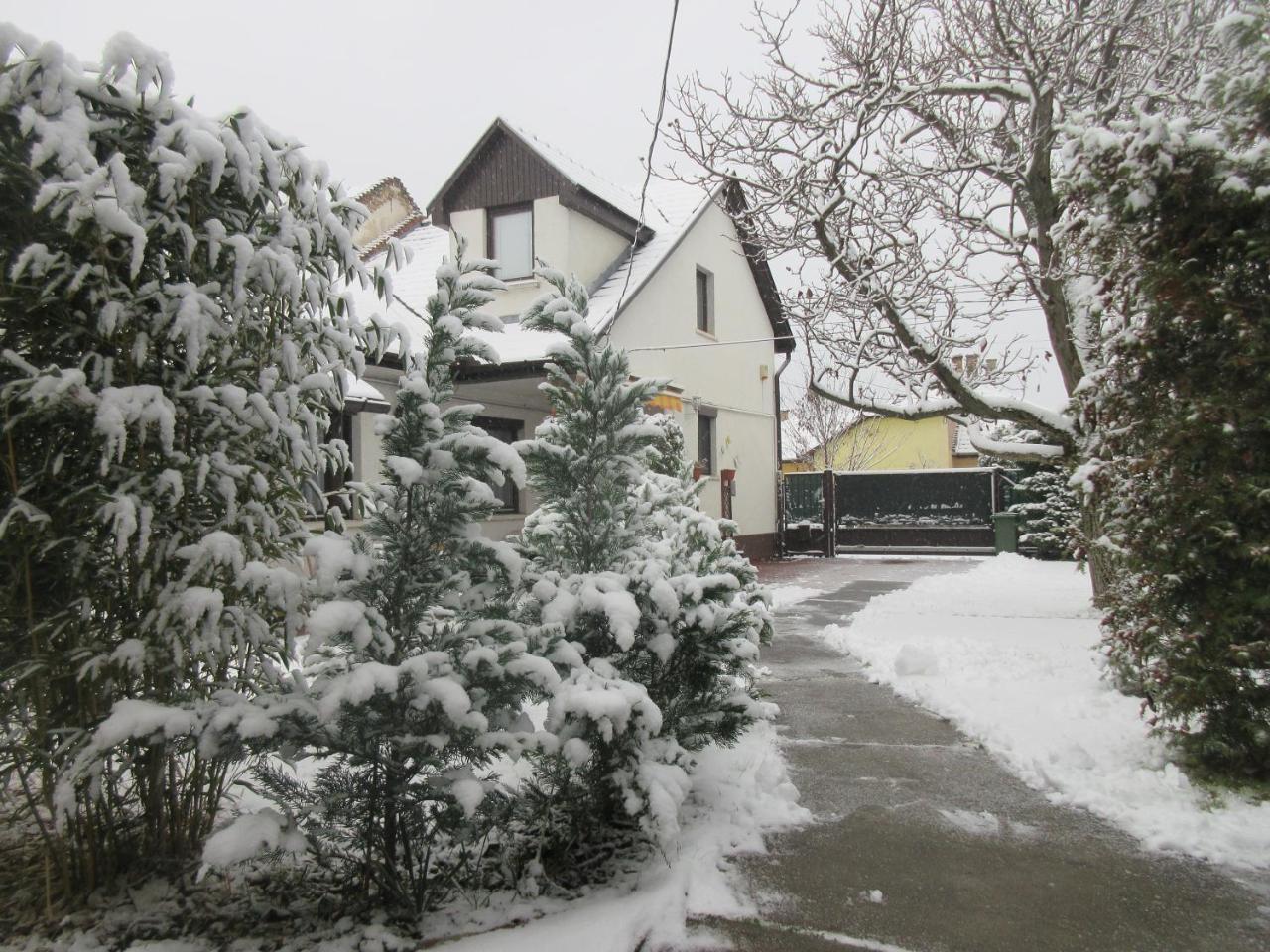 Sissi Residence With Free Parking Lot Budapeste Exterior foto